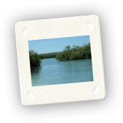 Saona (20).JPG